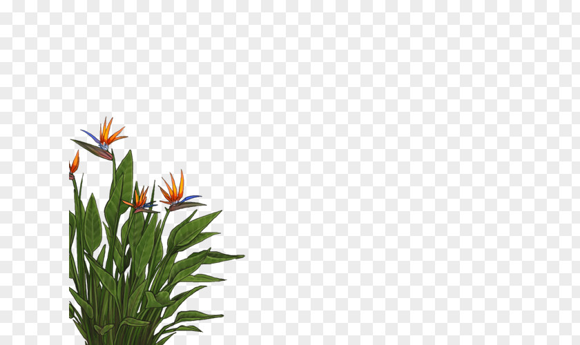 Lion Cricut Floral Design Leaf Plant Stem Orange S.A. PNG