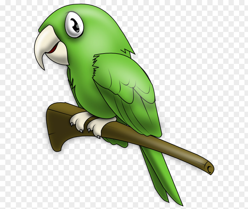 Lovely Cliparts True Parrot Lovebird Clip Art PNG