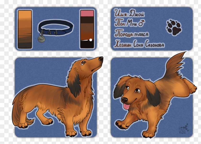 Puppy Dog Breed Dachshund Snout PNG