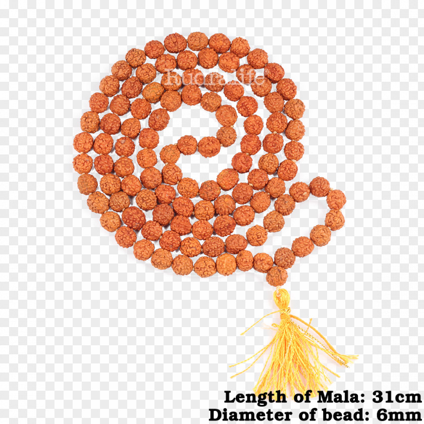 Rudraksha Buddhist Prayer Beads Rudralife PNG