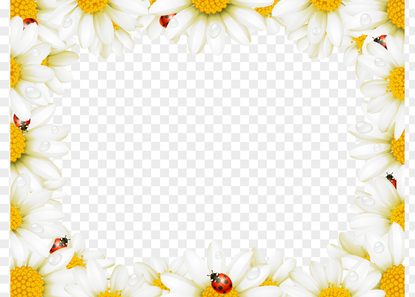 Beautiful White Wild Chrysanthemum Border Flower Picture Frame Chamomile Royalty-free PNG