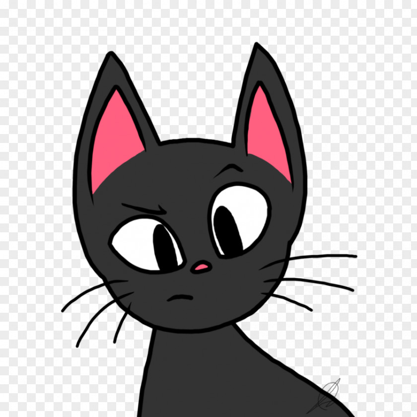 Cat Whiskers Jiji Black Domestic Short-haired PNG