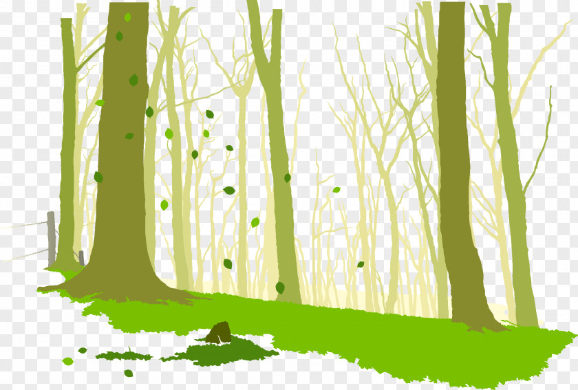 Forest Euclidean Vector PNG