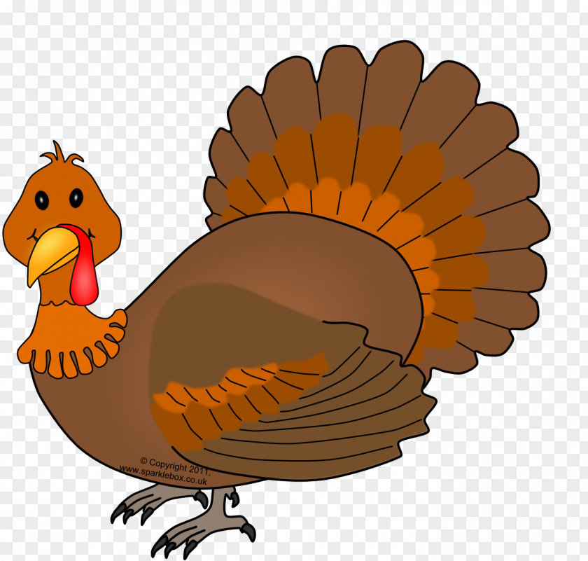 Happy Thanksgiving Turkey Pictures Clip Art PNG