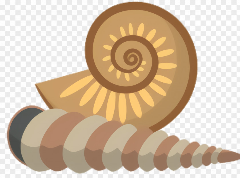 Nautilus Snails And Slugs Snail Cartoon PNG