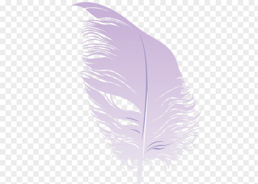 Plumas Feather PNG