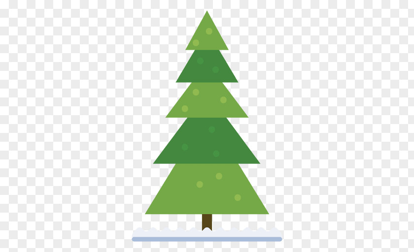 35% Christmas Tree Fir PNG