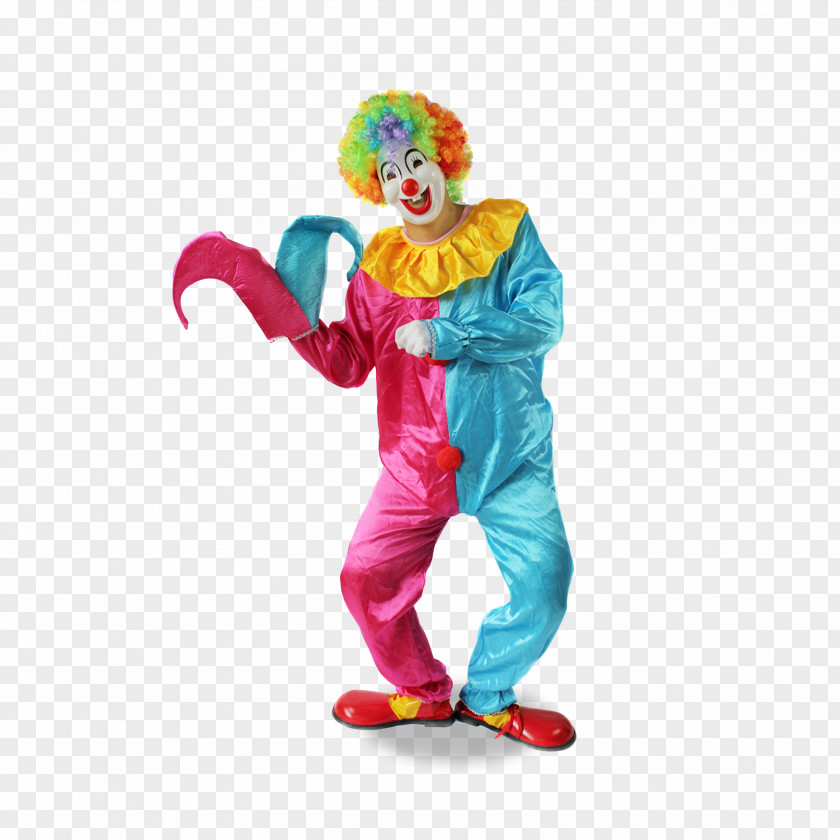 Clown Clothing Adult Costume Wig PNG