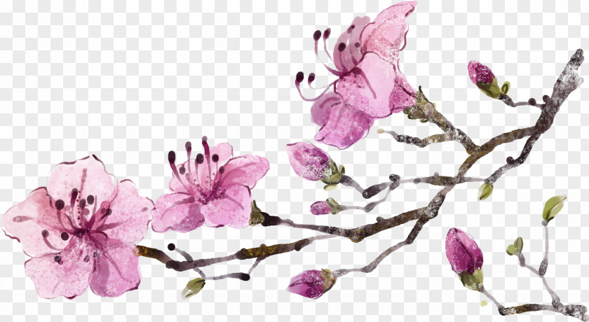 Hand-painted Peach Flower Drawing Computer File PNG