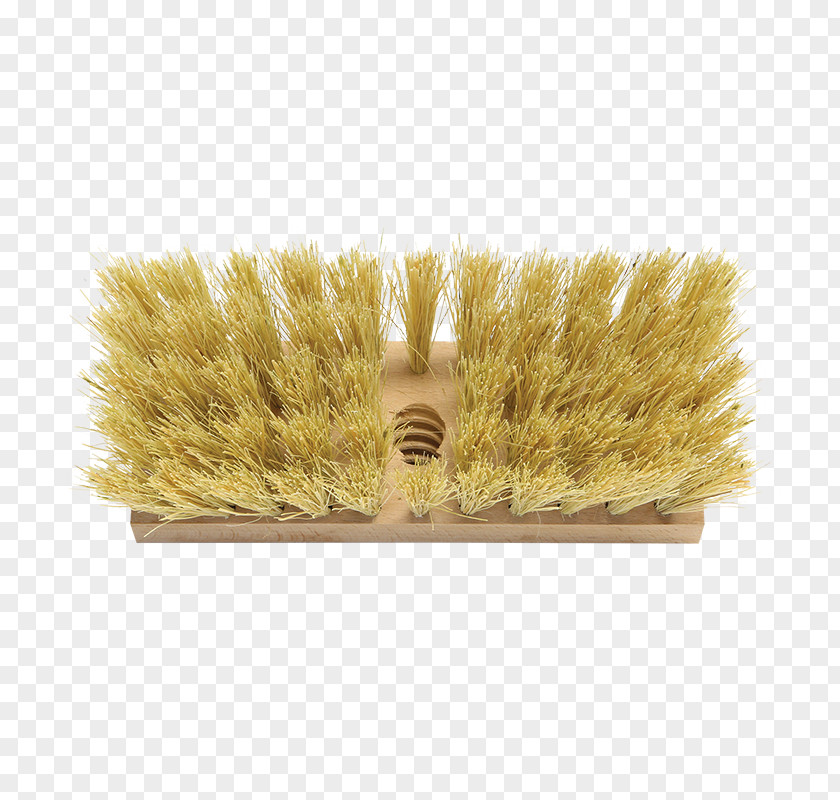 Nexstep Commercial Products Household Cleaning Supply Brush Grasses PNG