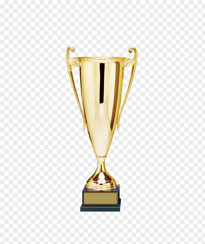 Trophy Parvo Osnovno Uchilishte Georgi Bakalov Award Cup Pokal PNG