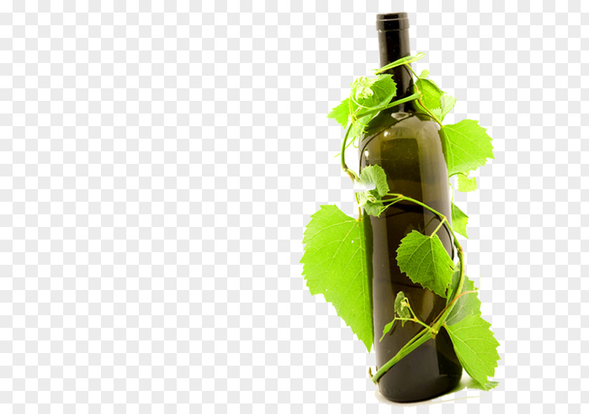Vine Bottle Red Wine Common Grape Glass PNG