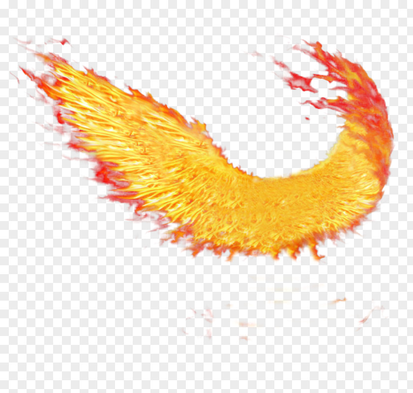 Buffalo Wing Fire Wings Sacramento Of Desktop Wallpaper PNG