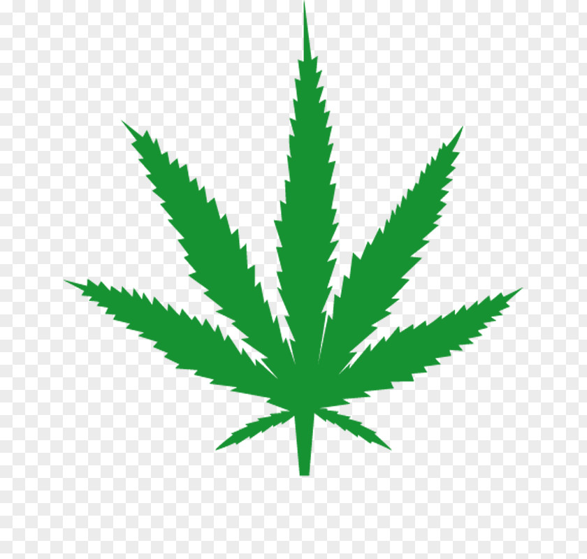 Cannabis Medical Leaf 420 Day PNG