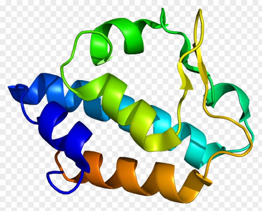 Cleaves NGLY1 N-linked Glycosylation Asparagine Glycan Genetics PNG