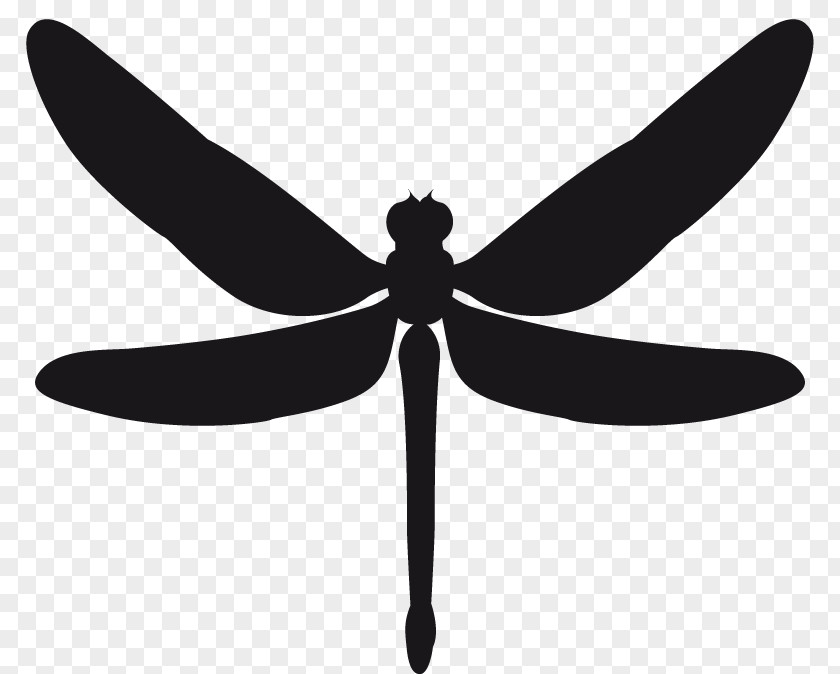 Dragonfly Stencil Sticker Insect PNG