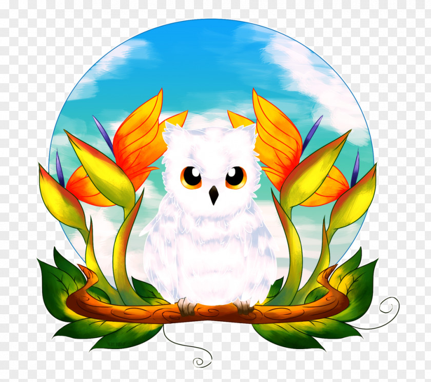 Little Owl DeviantArt Artist PNG