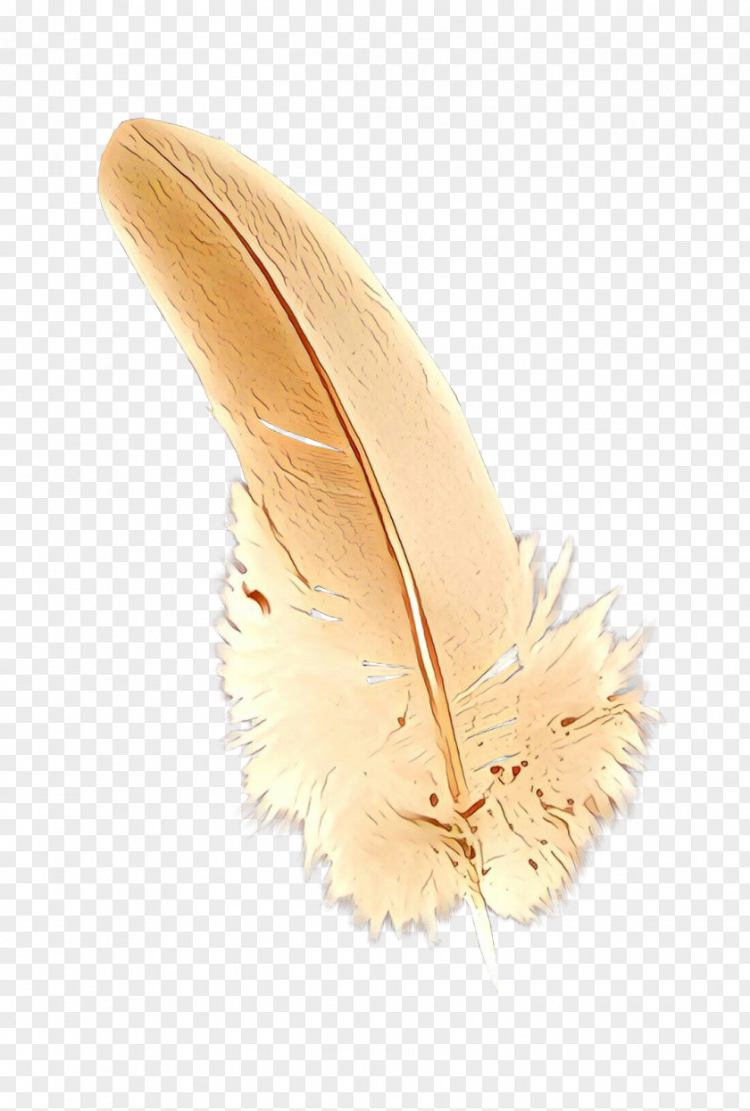 Natural Material Fashion Accessory Feather PNG