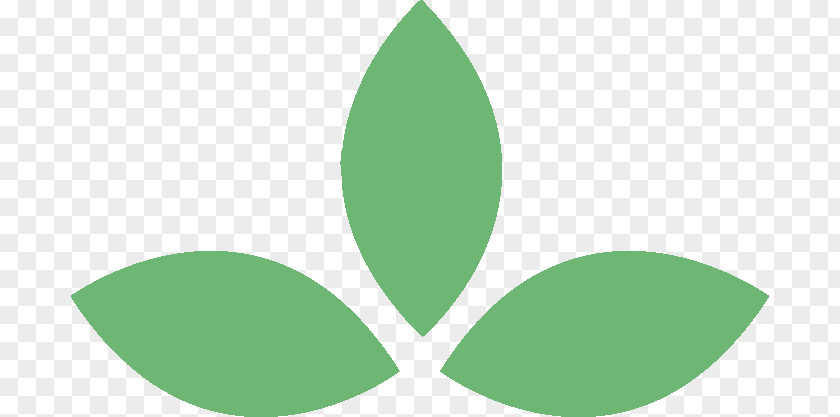 Origin Buddhism Logo Leaf Font Product Design Plant Stem PNG