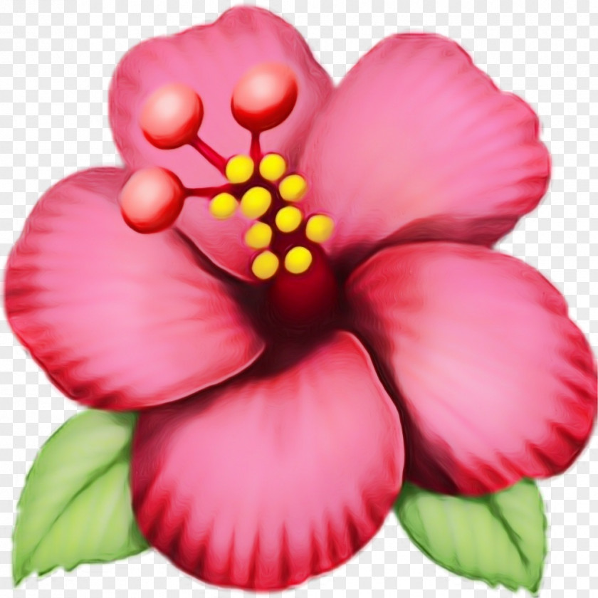 Perennial Plant Heart Emoji Background PNG