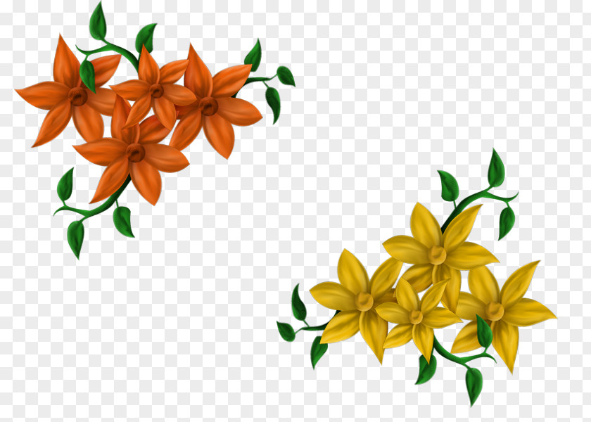 Photography Flower PNG