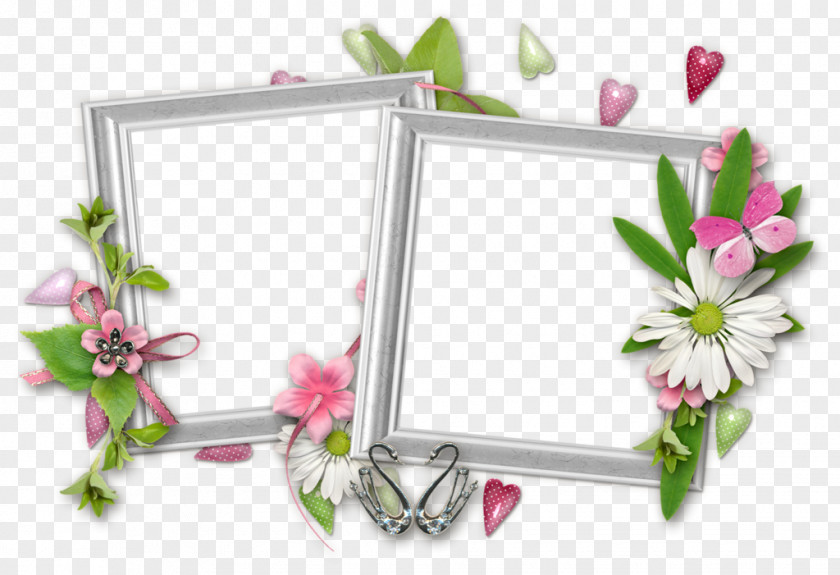 Picture Frames Floral Design Image PNG