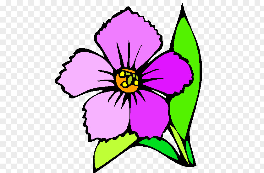 Flower Coloring Book Drawing Child PNG