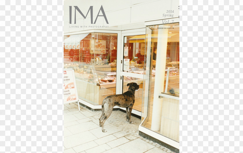 Magazine Millennials Animal Interior Design Services Photographer PNG