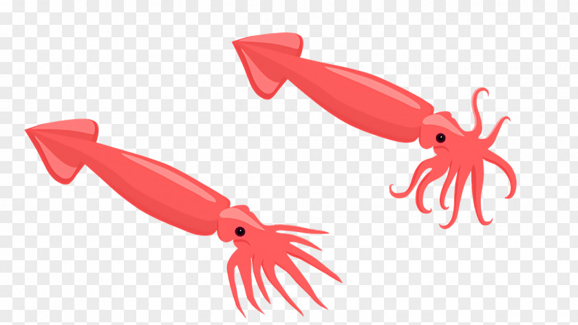 Propeller Seafood Science Biology PNG