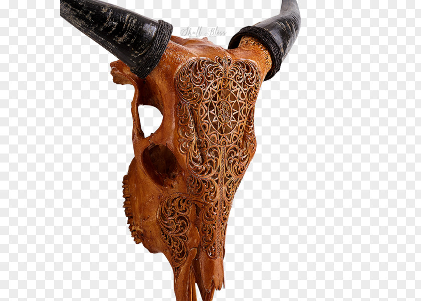 Skull Animal Skulls Cattle Wood Carving PNG