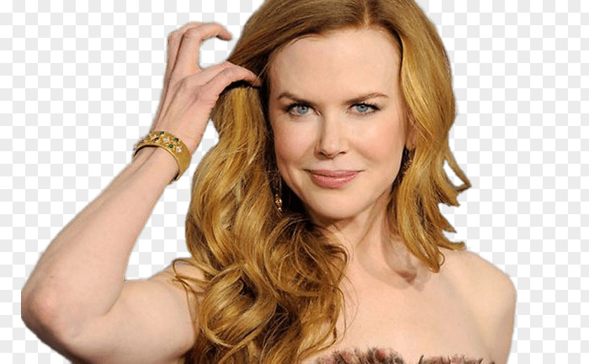 Actor Nicole Kidman Top Of The Lake Film Producer PNG