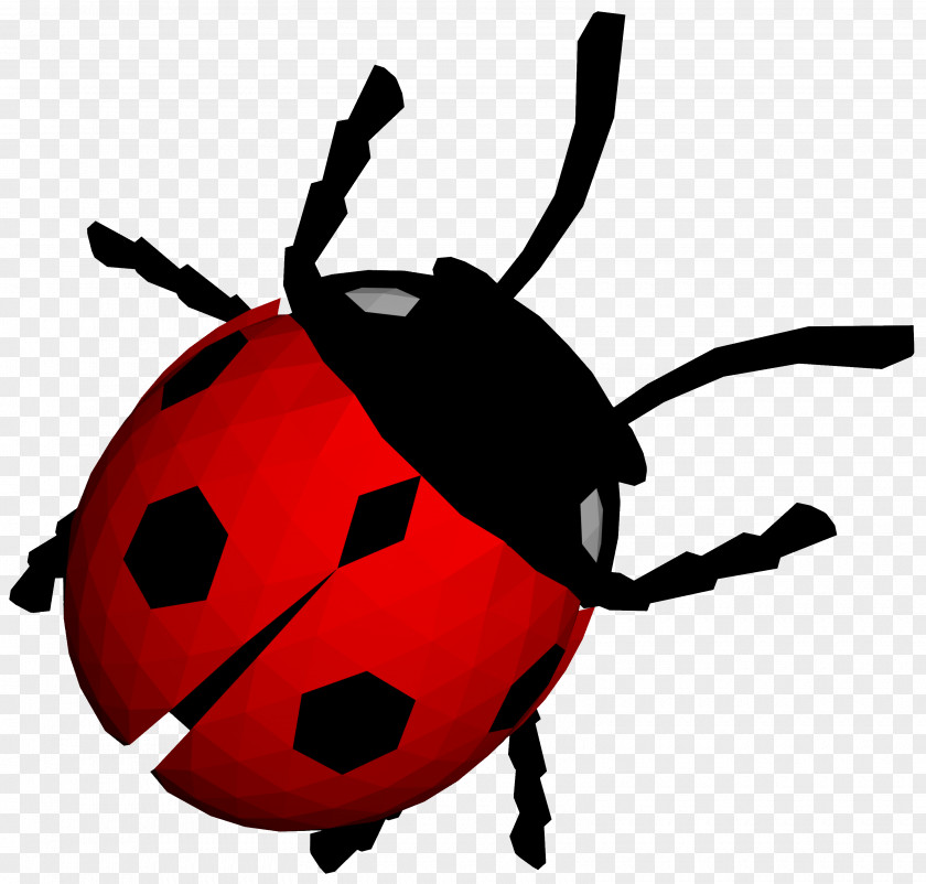 Bugs Image Vector Graphics Clip Art Ladybird Beetle PNG