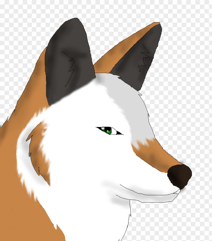 Cat Whiskers Dog Snout Duck PNG