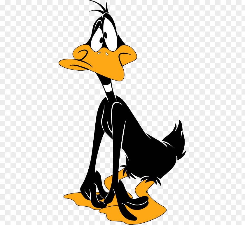 Donald Duck Daffy Mickey Mouse Cartoon PNG