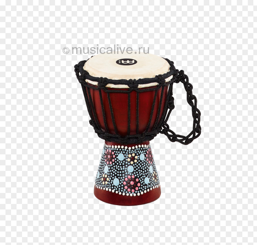 Drum Djembe Circle Meinl Percussion PNG