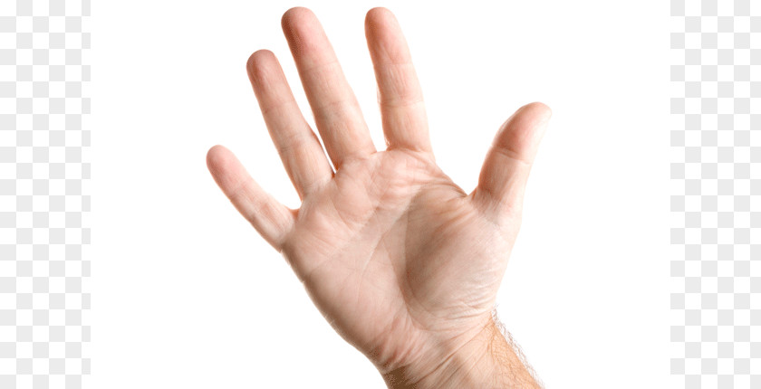 Hands Hand Thumb Finger Toe Wrist PNG
