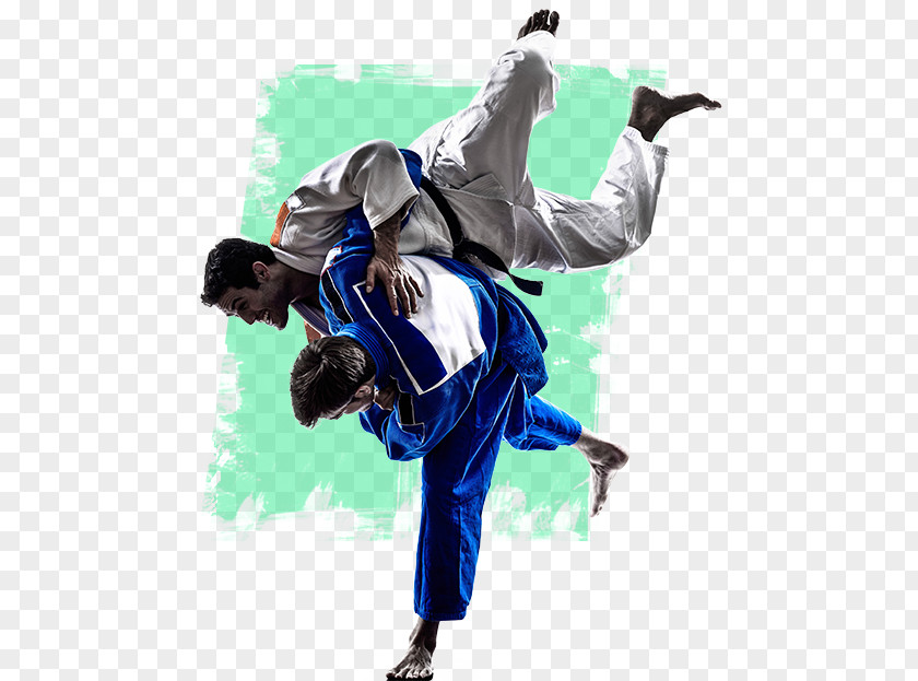 Mixed Martial Arts Jujutsu Brazilian Jiu-jitsu Judo PNG