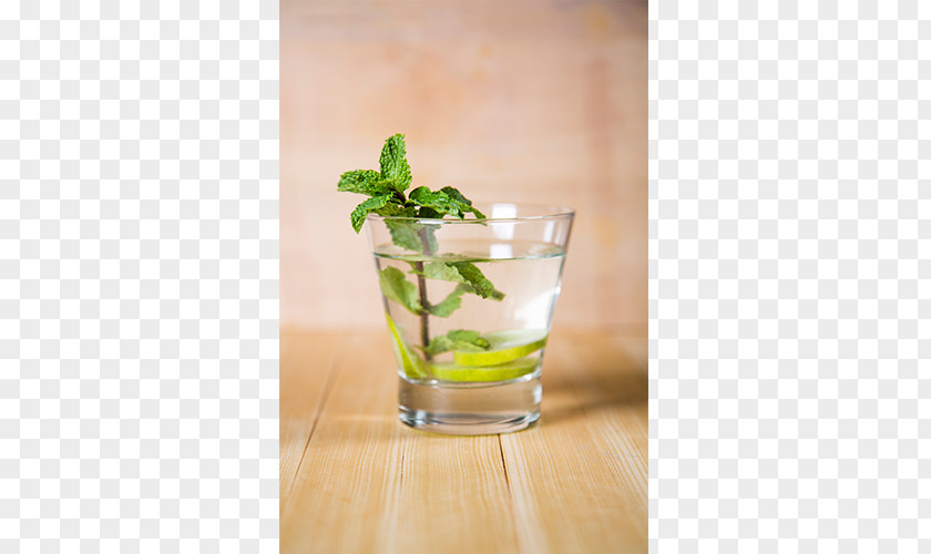 Mojito Mint Julep Cocktail Garnish Gin And Tonic PNG