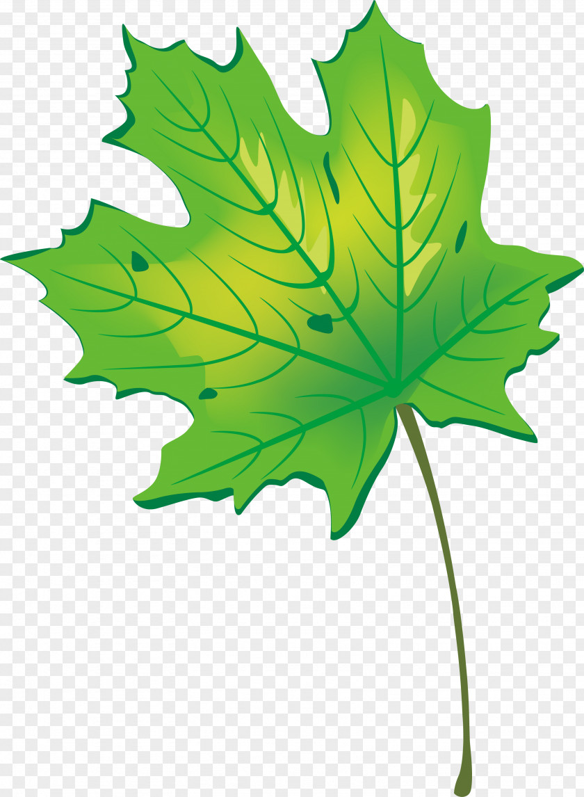PAINTED LEAVES Clip Art Knowledge Day Autumn School Ukraine PNG