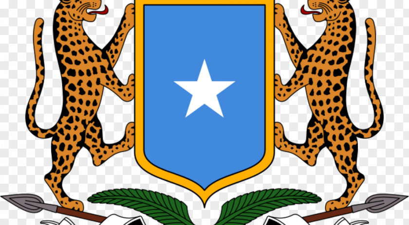 Embassy Of Somalia Somali Democratic Republic Coat Arms Flag PNG