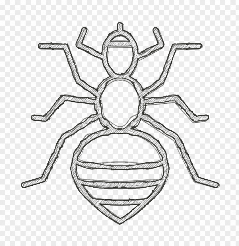 Louse Icon Insects PNG