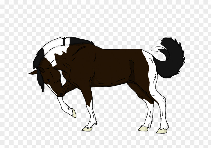 Mustang Stallion Rein Cattle Mammal PNG