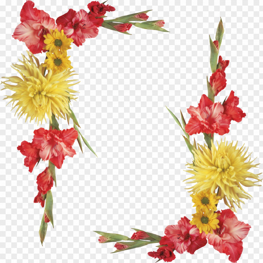 Border Floral Design Flower Biology Ornament Vignette Photography PNG