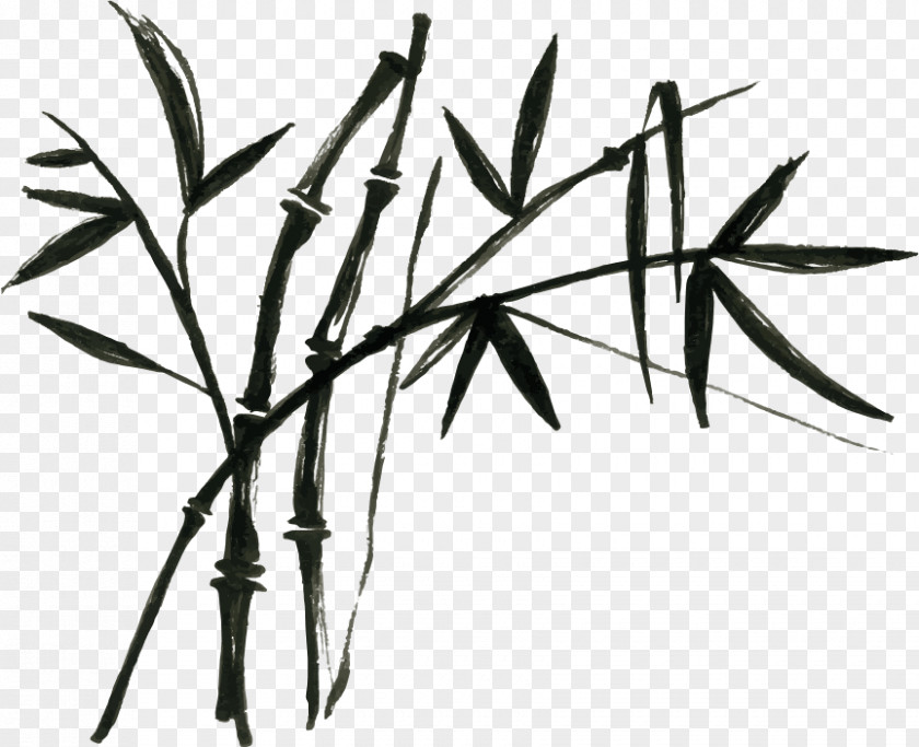 Tropical Woody Bamboos Chinese Cuisine Bamboo Painting Shoot PNG