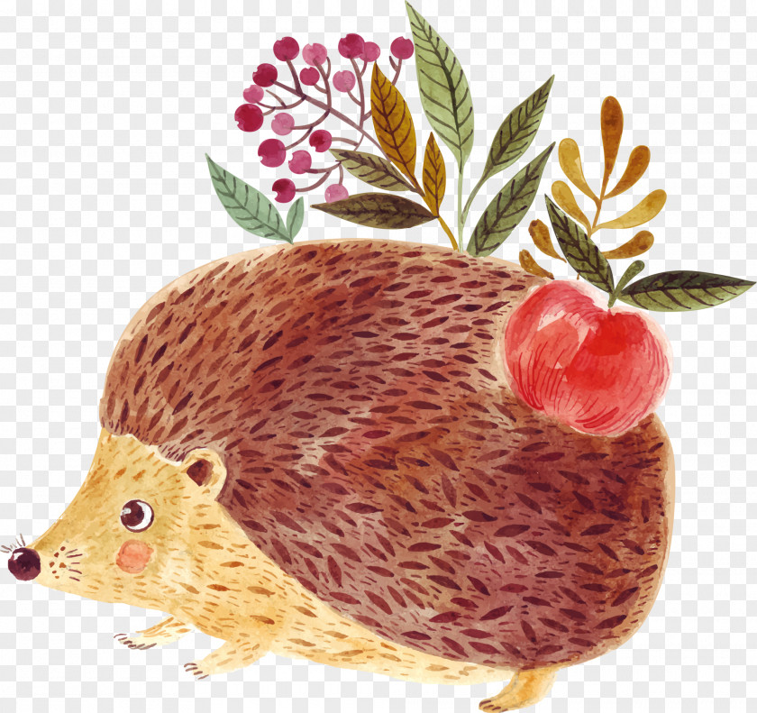 Coffee Lovely Hedgehog Drawing Illustration PNG