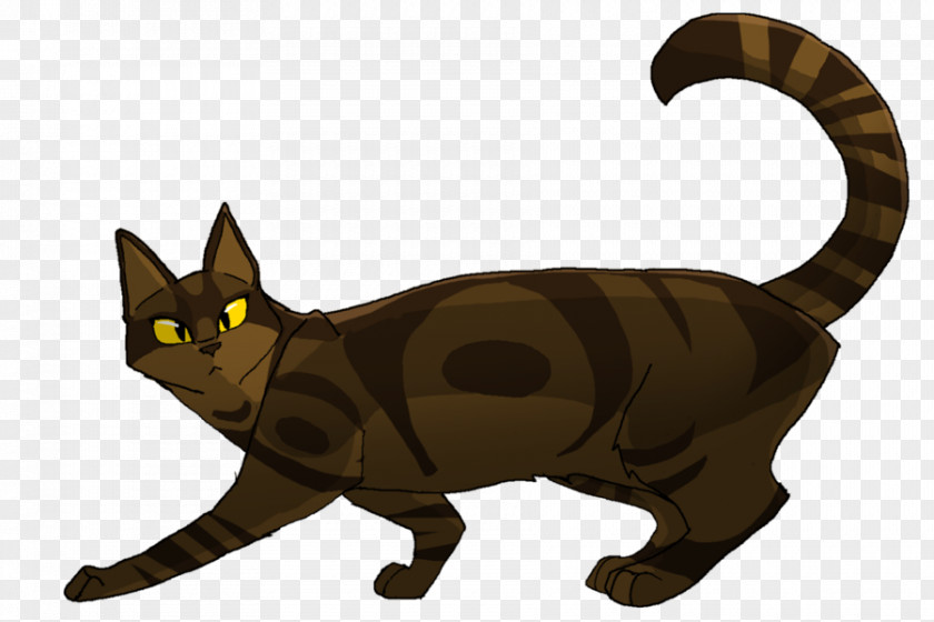 Creative Wind The Sun Trail Kitten Whiskers Warriors Cat PNG