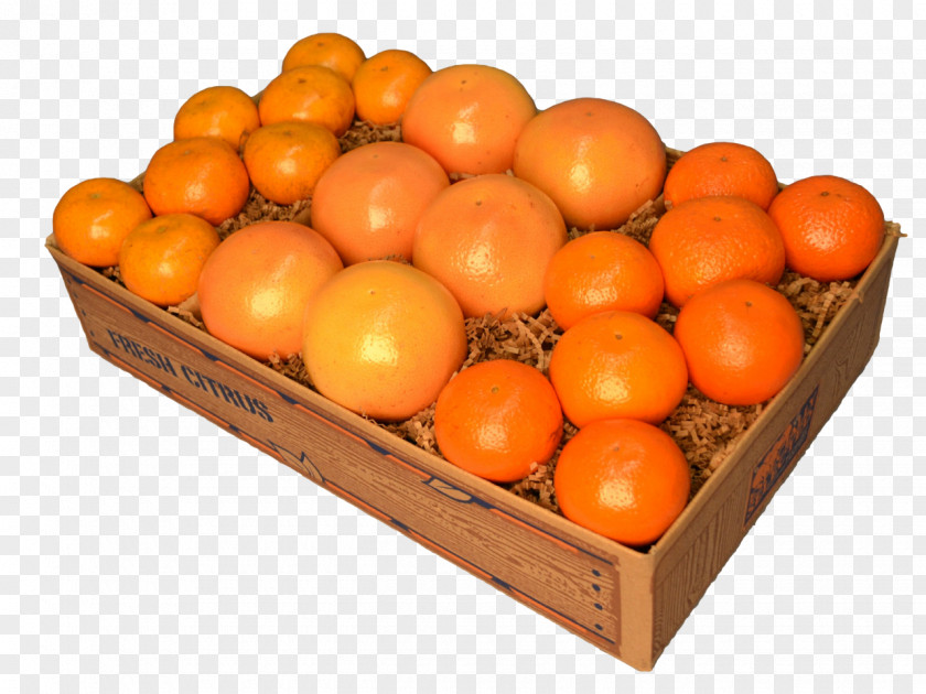 Honey Grapefruit Tea Clementine Tangerine Mandarin Orange PNG
