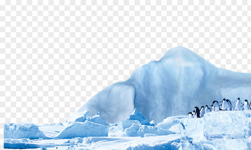 Iceberg Antarctic Penguin PNG