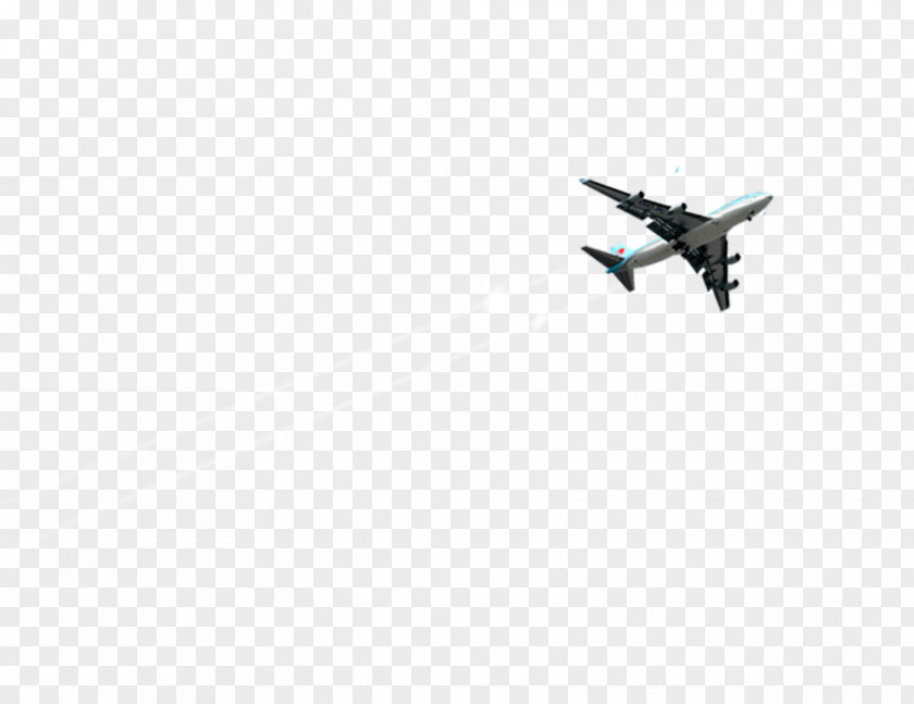 Jet Aircraft Sky Angle Non-resident Indian And Person Of Origin Pattern PNG