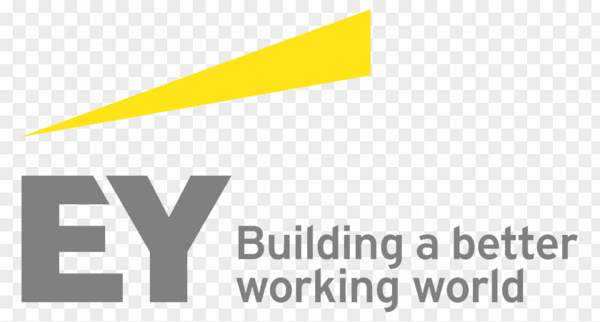 Logo Ernst & Young Solutions LLP Audit Report PNG